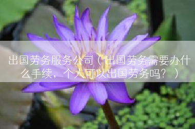 出国劳务服务公司（出国劳务需要办什么手续，个人可以出国劳务吗？）