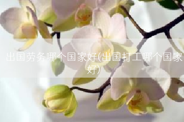 出国劳务哪个国家好(出国打工哪个国家好)