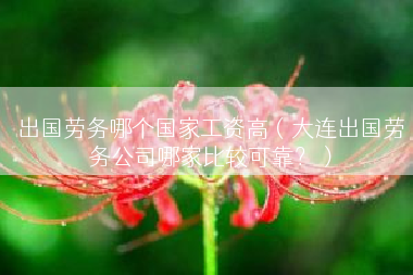 出国劳务哪个国家工资高（大连出国劳务公司哪家比较可靠？）