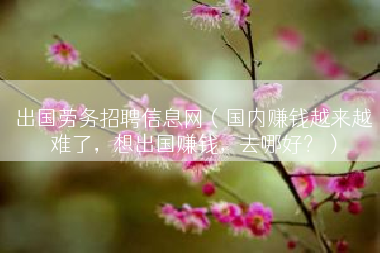 出国劳务招聘信息网（国内赚钱越来越难了，想出国赚钱，去哪好？）