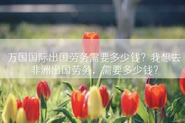 万国国际出国劳务需要多少钱？我想去非洲出国劳务，需要多少钱？