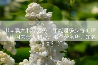 出国澳大利亚劳务一年能赚多少钱（请问出国去澳大利亚，那个劳务所，知名度高？）
