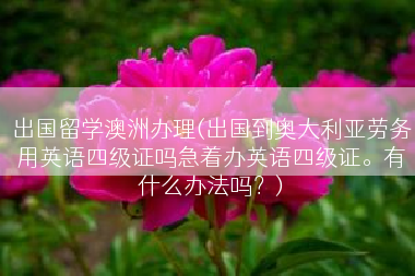 出国留学澳洲办理(出国到奥大利亚劳务用英语四级证吗急着办英语四级证。有什么办法吗？)