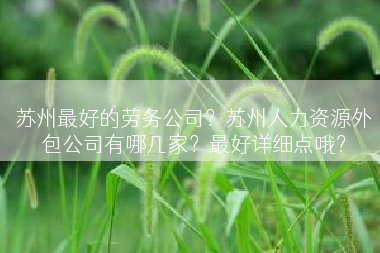 苏州最好的劳务公司？苏州人力资源外包公司有哪几家？最好详细点哦？