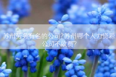 苏州劳务有名的公司?苏州哪个人力资源公司不收费?
