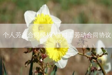 个人劳务合同模板?临时工劳动合同协议书?