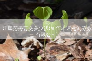 出国劳务要交多少钱(如何申请建筑劳务有限公司)