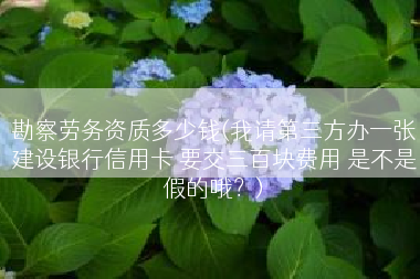 勘察劳务资质多少钱(我请第三方办一张建设银行信用卡 要交三百块费用 是不是假的哦？)