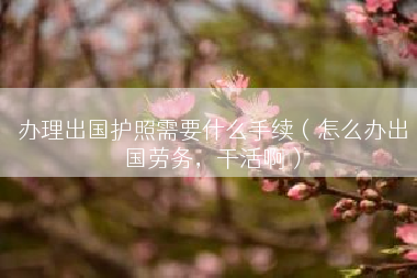办理出国护照需要什么手续（怎么办出国劳务，干活啊）