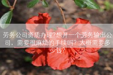 劳务公司资质办理?想开一个劳务输出公司，需要很麻烦的手续吗？大概需要多少钱?