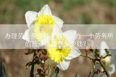 办理劳务多少钱（请问，办一个劳务所的营业执照要多少钱？）