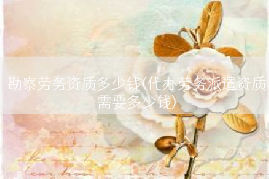 勘察劳务资质多少钱(代办劳务派遣资质需要多少钱)