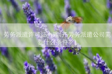 劳务派遣许可证办理(开劳务派遣公司需要什么条件？)