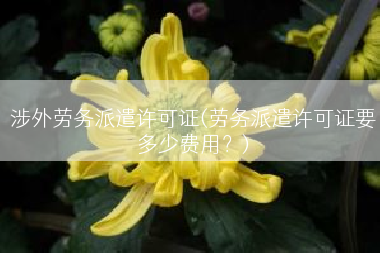 涉外劳务派遣许可证(劳务派遣许可证要多少费用？)