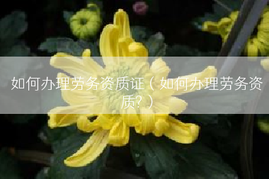 如何办理劳务资质证（如何办理劳务资质?）