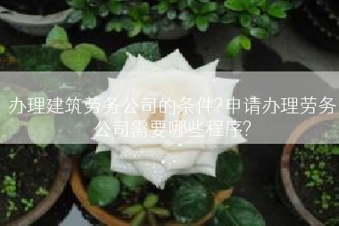 办理建筑劳务公司的条件?申请办理劳务公司需要哪些程序?