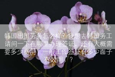 韩国出国劳务怎么样？我想去韩国务工请问一下在哪里办理签证，还有大概需要多少费用！一般工作签证有多少面子有效期。？