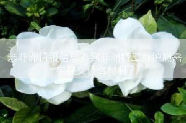 涉非洲情报信息？到非洲打工办护照需要提交什么材料？