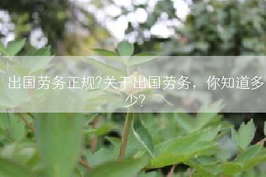 出国劳务正规?关于出国劳务，你知道多少?
