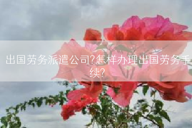 出国劳务派遣公司?怎样办理出国劳务手续?