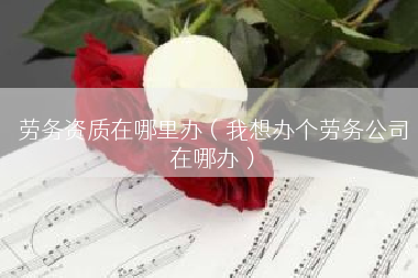 劳务资质在哪里办（我想办个劳务公司在哪办）