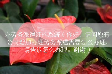 办劳务派遣证的系统（你好，请问原有公司增加办理劳务派遣需要怎么办理，请告诉怎么办理。谢谢）