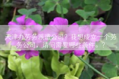 天津办劳务派遣公司？我想成立一个劳务公司，请问需要哪些条件。？