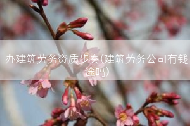 办建筑劳务资质步奏(建筑劳务公司有钱途吗)