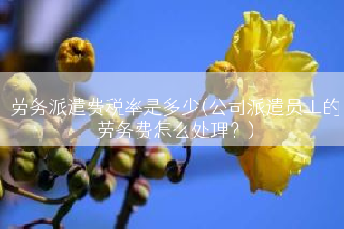 劳务派遣费税率是多少(公司派遣员工的劳务费怎么处理？)
