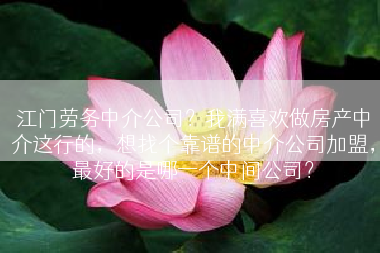 江门劳务中介公司？我满喜欢做房产中介这行的，想找个靠谱的中介公司加盟，最好的是哪一个中间公司？