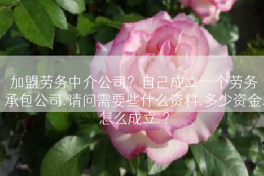 加盟劳务中介公司？自己成立一个劳务承包公司.请问需要些什么资料.多少资金.怎么成立.？