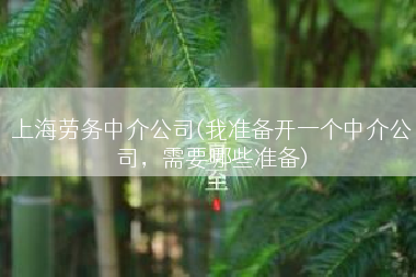 上海劳务中介公司(我准备开一个中介公司，需要哪些准备)