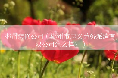 郴州装修公司（郴州市忠义劳务派遣有限公司怎么样？）