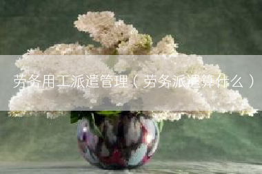 劳务用工派遣管理（劳务派遣算什么）