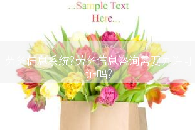 劳务信息系统?劳务信息咨询需要办许可证吗?