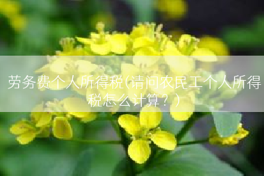 劳务费个人所得税(请问农民工个人所得税怎么计算？)