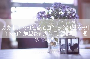 劳务中介公司经营范围？怎么加盟劳务中介公司？加盟费多少？最近找项目，想多了解些？