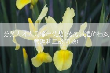 劳务人才大县输出优势(劳务派遣的档案管理和工龄问题)