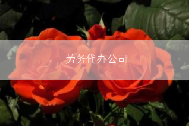 劳务代办公司