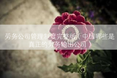 劳务公司管理制度完整版（中国哪些是真正的劳务输出公司）