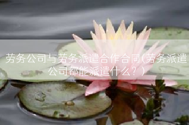 劳务公司与劳务派遣合作合同(劳务派遣公司都能派遣什么？)