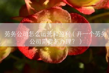 劳务公司怎么运营和盈利（开一个劳务公司需要怎办理？）
