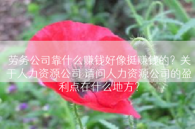 劳务公司靠什么赚钱好像挺赚钱的？关于人力资源公司 请问人力资源公司的盈利点在什么地方？
