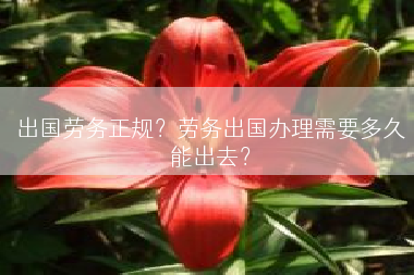 出国劳务正规？劳务出国办理需要多久能出去？
