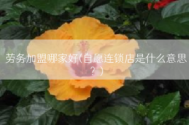 劳务加盟哪家好(自愿连锁店是什么意思？)