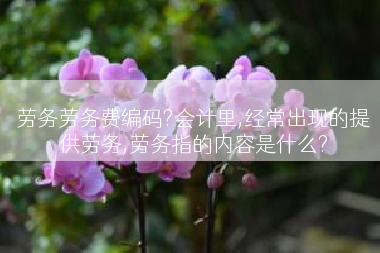 劳务劳务费编码?会计里,经常出现的提供劳务,劳务指的内容是什么?