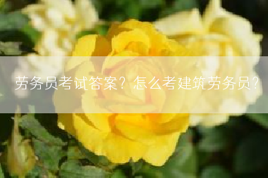 劳务员考试答案？怎么考建筑劳务员？