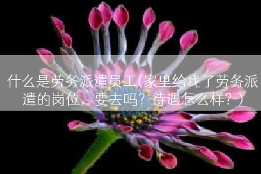 什么是劳务派遣员工(家里给找了劳务派遣的岗位，要去吗？待遇怎么样？)