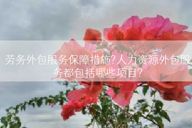 劳务外包服务保障措施?人力资源外包服务都包括哪些项目?
