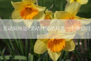 劳动局电话(劳动厅劳动局是一个单位吗?)